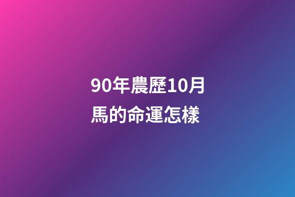 90年農歷10月馬的命運怎樣 (90年10月份屬馬的人命運)-第1張-觀點-玄機派